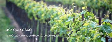 Acquiesce to surrender