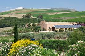 Donnafugata's Contessa Entellina estate 