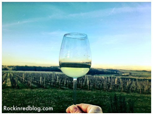 Me holding a glass of Chateau Fombrauge Bordeaux Blanc overlooking the vineyards as the sun was setting in one hand, while taking this unfiltered photo with my iPhone on the other hand. The beauty of Saint-Emilion 