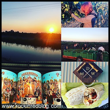 Up at dawn, literally, to harvest Viognier grapes at Michael David Winery. Rewarded with a hearty breakfast. 