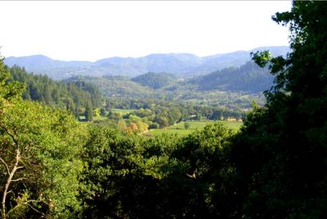 rombauer-view-via-napatouristguide