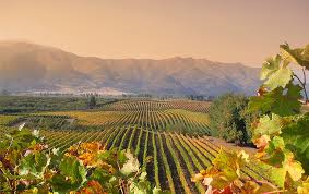 Colchagua Valley via www.winesofchile.org 
