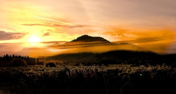 Apple Valley Oregon Harvest 2016 via Craig Camp http://winecampblog.com/journal/