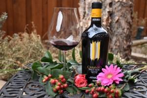 astoria-caranto-piont-noir-italian-wine