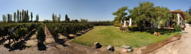 bodegas-nieto-senetiner