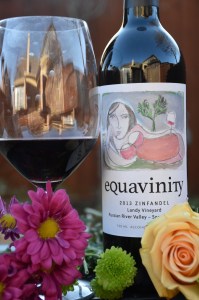 equavinity-zin