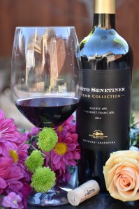 nieto-senetiner-wine2