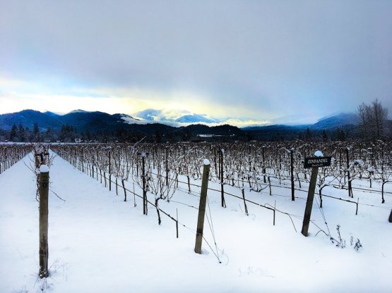 Troon Vineyards and the Applegate Valley January 2017 via Craig Camp www.winecampblog.com/journal