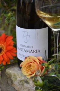 domaine-santamaria-blanc2
