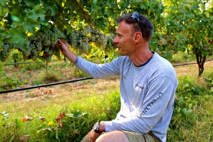www.lodiwine.com 