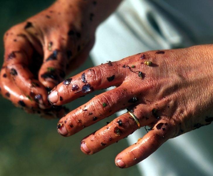 Drinking Bordeaux in Blue&nbsp;Jeans