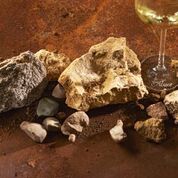 Getting Dirty with Alsace&nbsp;Riesling