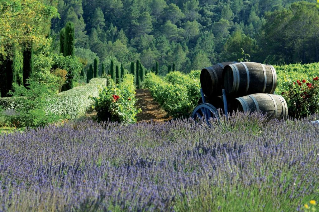 Celebrating the Provençal Lifestyle with Three&nbsp;Rosés