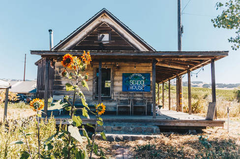 Cline Cellars Goes ‘Beyond Sustainable’ – Taking Vineyard Farming to a New&nbsp;Level