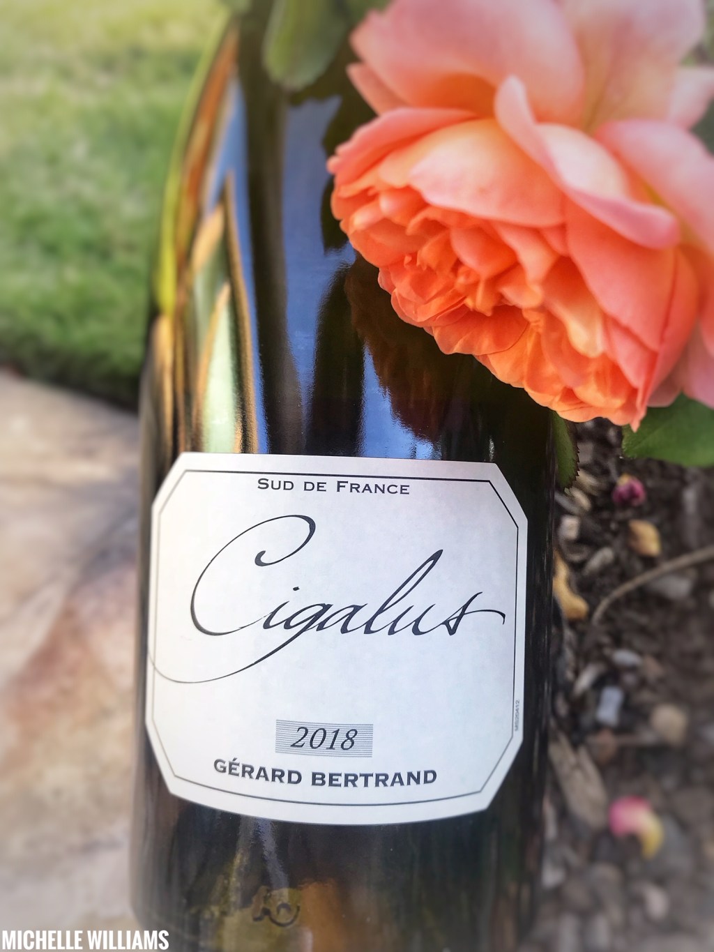 Celebrating Biodynamic Viticulture And The Beauty Of The Languedoc With Gérard Bertrand&nbsp;#Winophiles