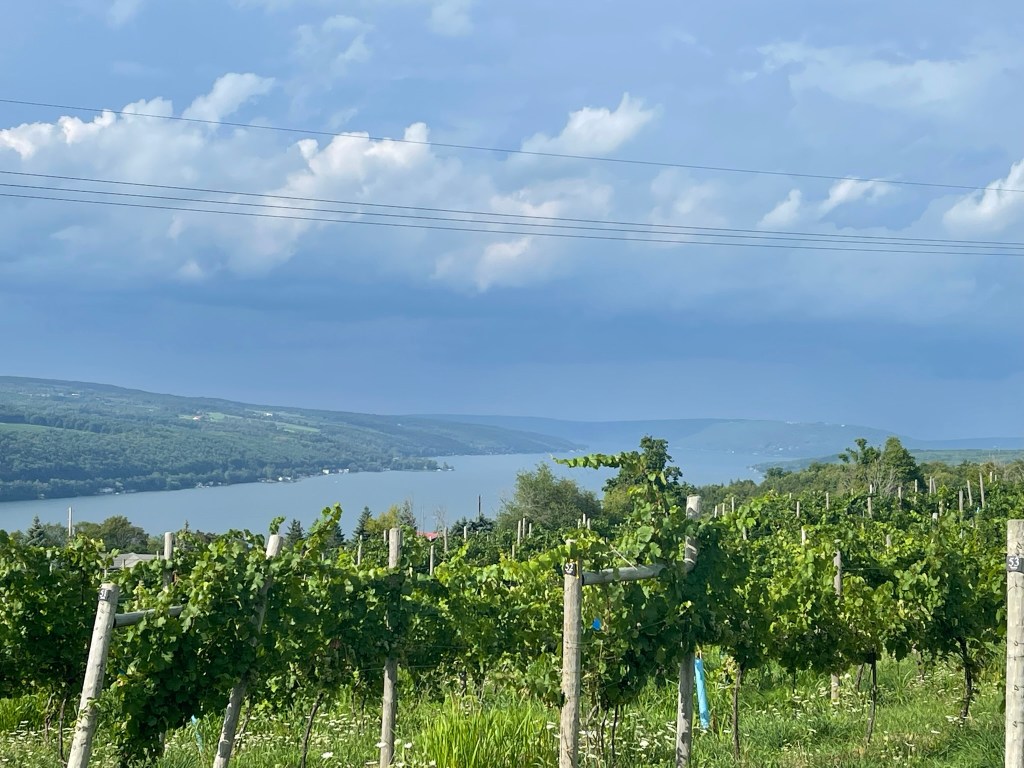 America’s Winemaking Past And Future Is Found In The Finger Lakes